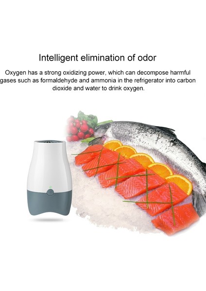 AX168B Mini Buzdolabı Ozon Hava Temizleyici ve Taze Deodorizer (Beyaz + Siyah) (Yurt Dışından) modelleri