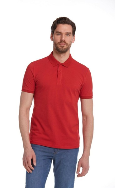 Erkek Kırmızı Regular Fit %100 Pamuk Polo Yaka Tişört