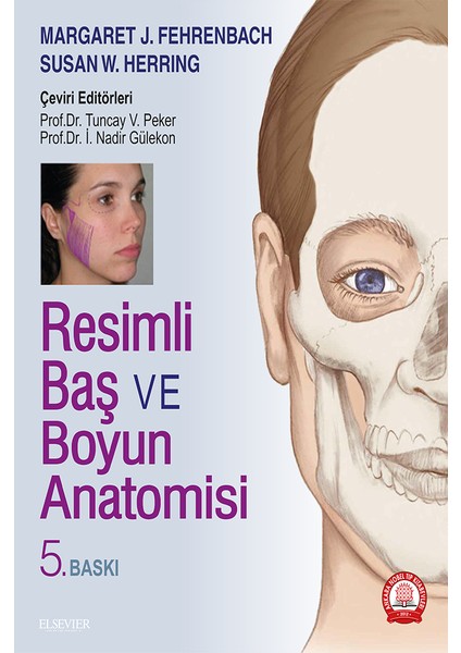 Resimli Baş ve Boyun Anatomisi