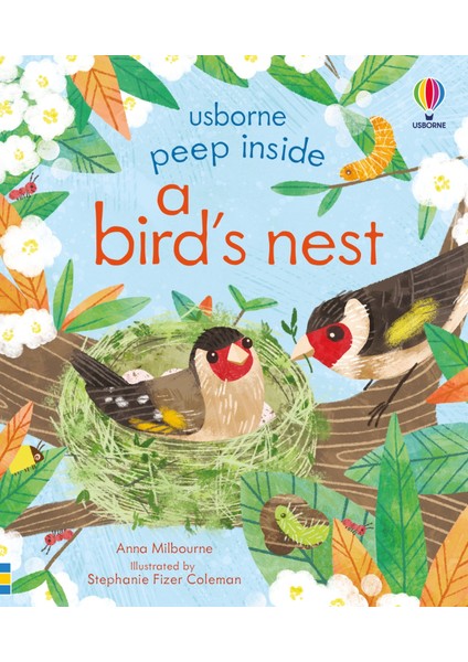 Peep Inside: a Bird's Nest