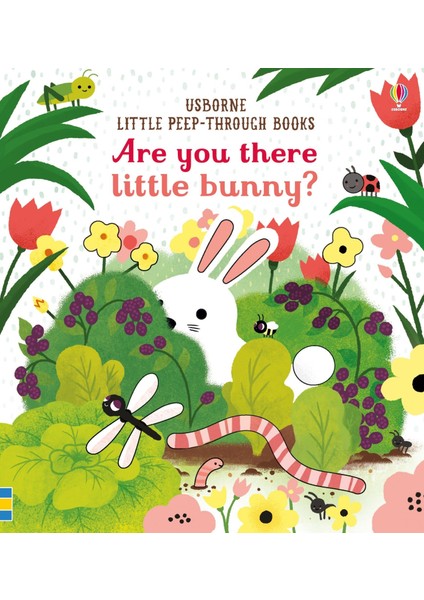Are You There Little Bunny?