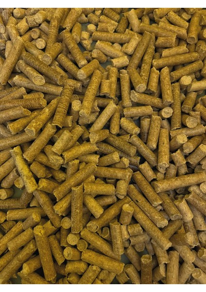 Kedi Kumu Çam Pelet 20 kg (38LT)