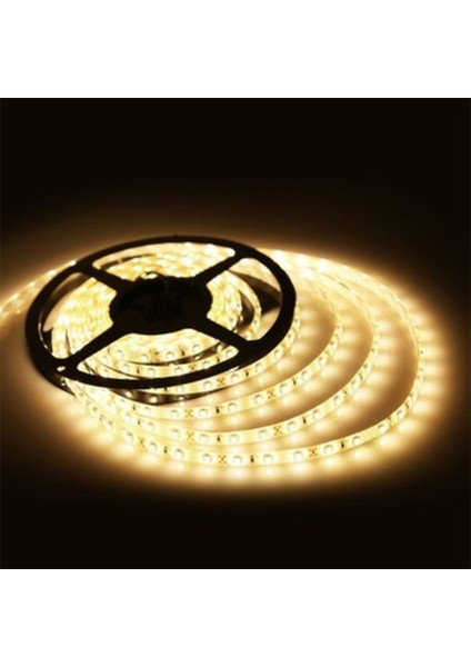 12 V 120 Ledli 5 Metre Şerit LED 4000K