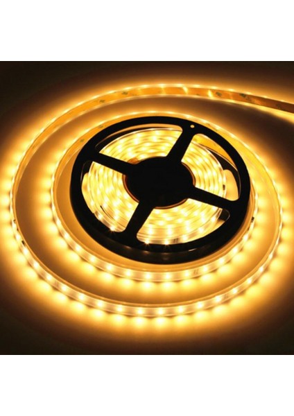 12 V 120 Ledli 5 Metre Şerit LED Günışığı fiyatları