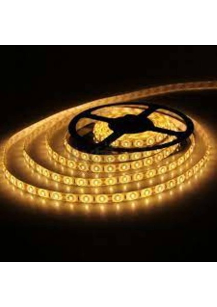 12 V 120 Ledli 5 Metre Şerit LED Günışığı modelleri