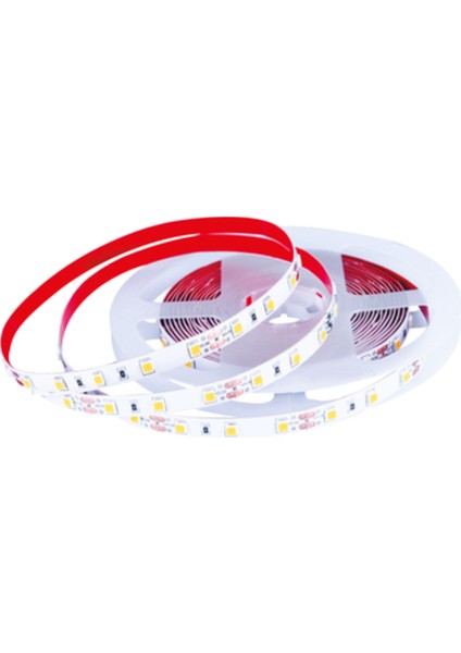 Iç Mekan 4040 3 Çipli Silikonsuz 5 Metre Şerit LED Günışığı