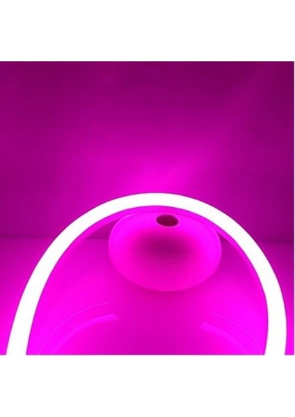 220V 2835 120 Ledli 1 Metre Neon LED Pembe ve 220V Neon Için Güç Kablosu