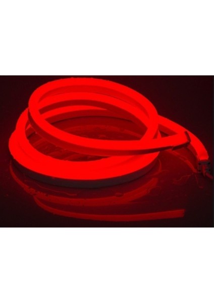 220V 2835 120 Ledli 1 Metre Neon LED Kırmızı ve 220V Neon Için Güç Kablosu