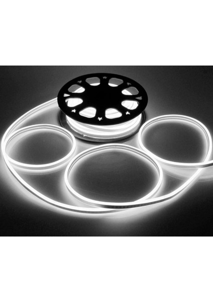 220V 2835 120 Ledli 1 Metre Neon LED Beyaz ve 220V Neon Için Güç Kablosu