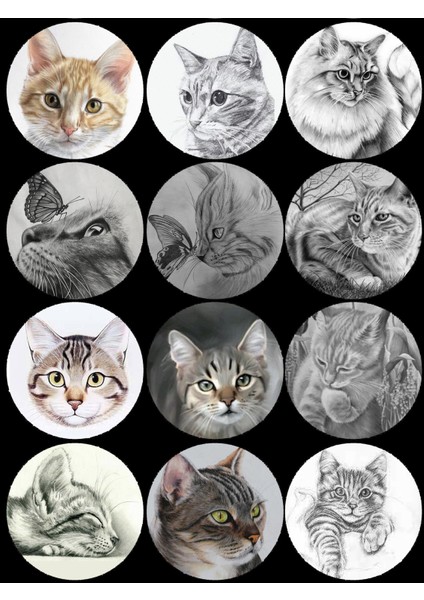 Kedili Yuvarlak Sticker (4x4 cm 24 Adet)