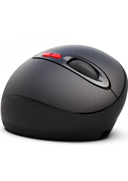 2.4g Kablosuz Bağlantı Şarjlı Ergonomik Tasarım Dizüstü Bilgisayarlarlar Için Optik Mouse