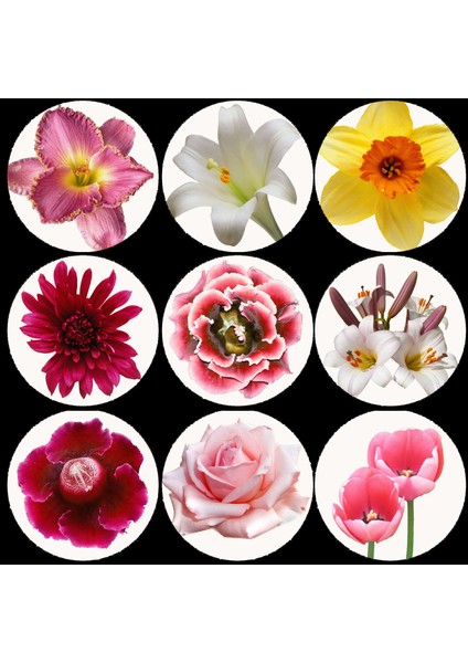 Çiçekli Yuvarlak Sticker (4x4 Cm)