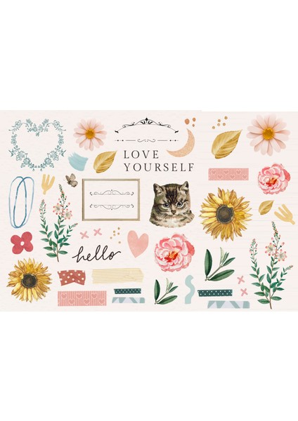Karışık Sticker (21X31 Cm)