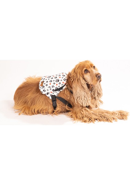 Köpek Sırt Çantası - Köpek Tasması Aparatlı - Patili Model
