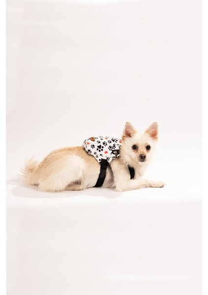Köpek Sırt Çantası - Köpek Tasması Aparatlı - Patili Model