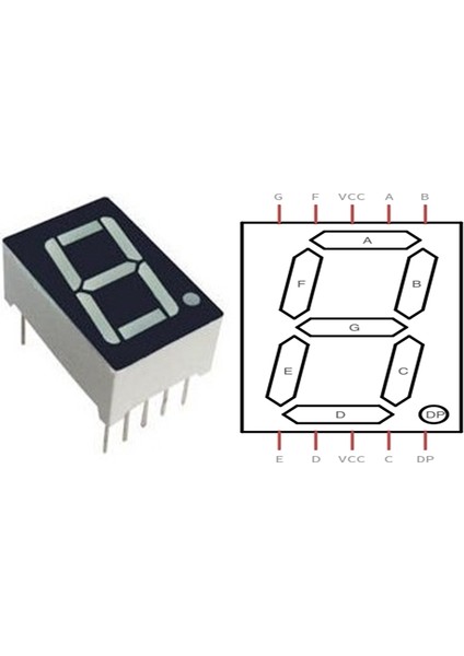 7 Segment Display