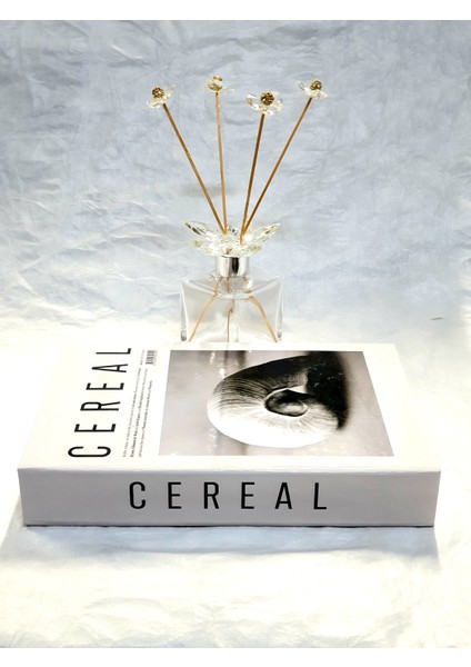 Lovely Book & Book Cereal Art And Nature Dekoratif Kutu