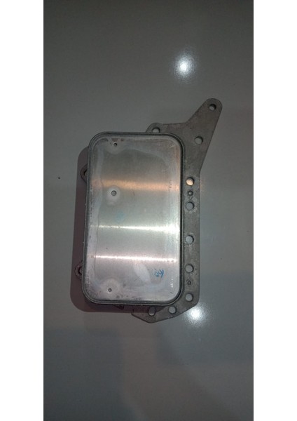 Soğutucu Yağ Qashqai/Note/Micra/Juke 1,6 Dizel
