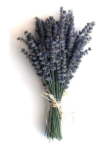 Doğal Lavanta Demeti Natural Lavender Bundle 20 Adet 200-300 Dal