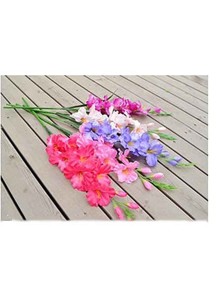 Canlı Gladiolus Çiçek Bitki Süs 80 cm Dekor Pembe (Yurt Dışından)