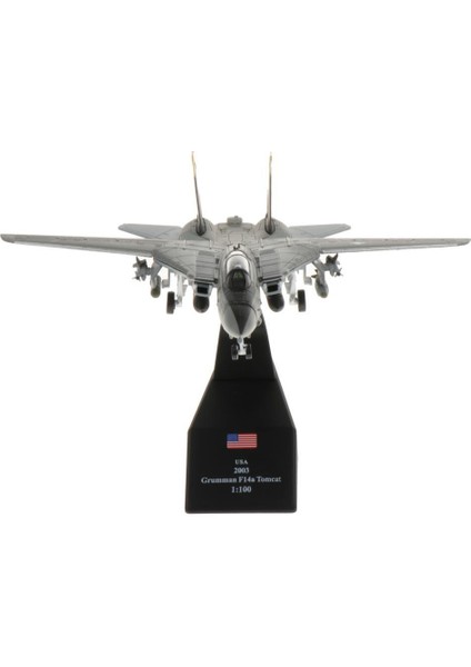 Best Life 1/100 Diecast Uçak Uçak Modeli F-14 Avcı Uçak Oyuncak (Yurt Dışından)