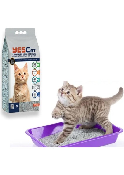 Aktif Karbanlu Kedi Kumu 10 Lt fiyatları