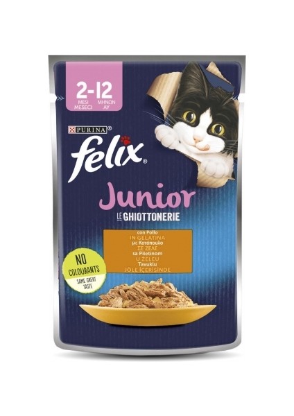 Tavuk Etli Yavru Kedi Pouch 85 gr x 10 Adet