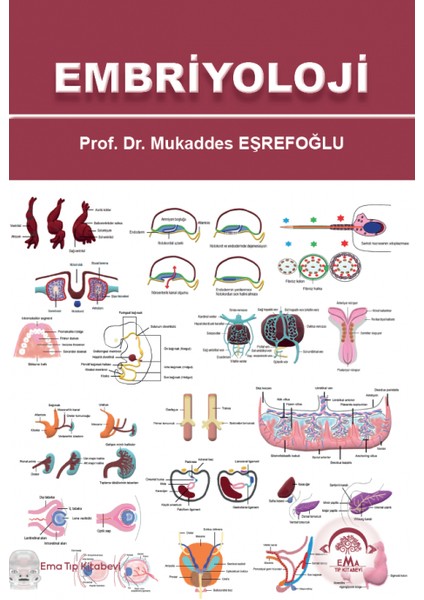 Embriyoloji - Mukaddes Eşrefoğlu