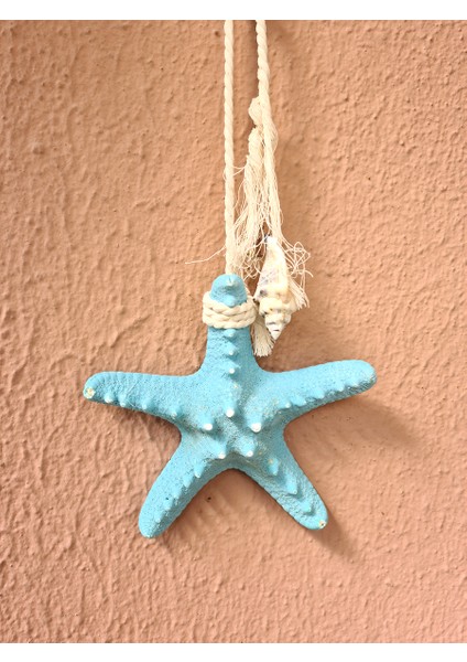 Gerçek Deniz Yıldızı Duvar Dekoru Baby Blue