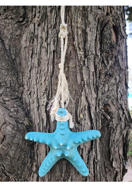 Gerçek Deniz Yıldızı Duvar Dekoru Baby Blue fiyatları