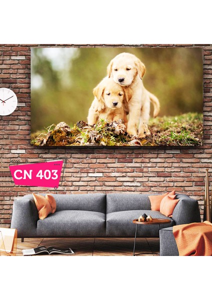 Sevimli Golden Yavru Kardeş Köpekler / Çocuk Odası Tabloları