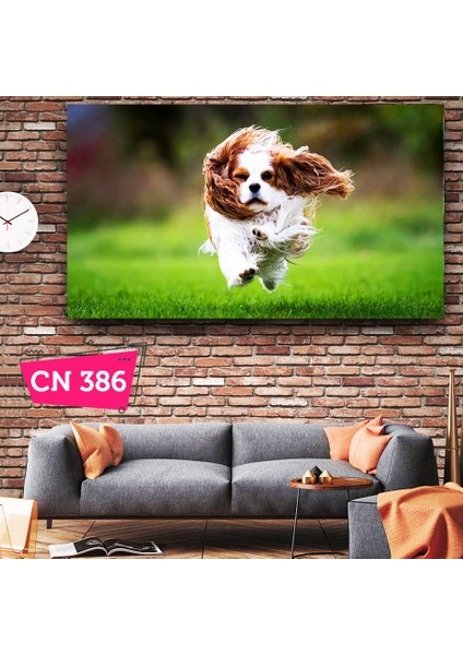 Çimlerde Koşan Köpek Cavalier King Charles Spaniel / Çocuk Odası Kanvas Tablo