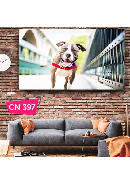Gülen Bulldog / Çocuk & Çocuk Kalanlar Için Tablolar