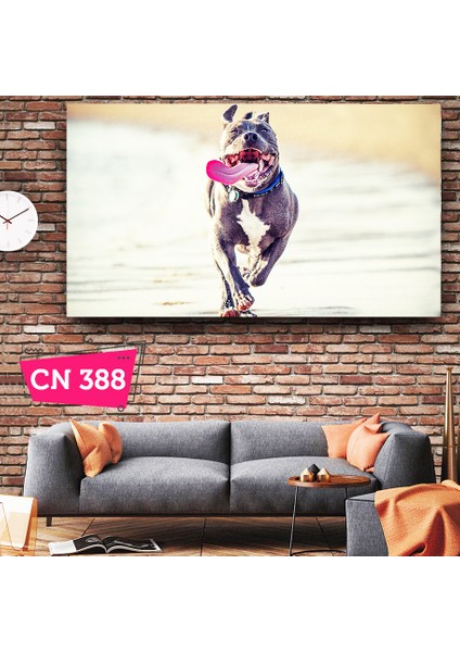 Pitbull / Çocuk Kalanlar Için Tablolar
