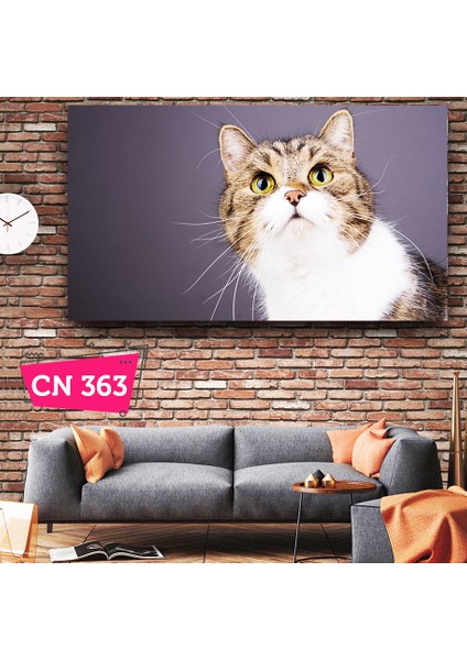 Meraklı Kedi / Çocuk Odası Tablo
