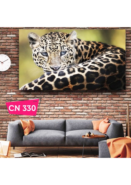 Leopar / Hayvan Tabloları