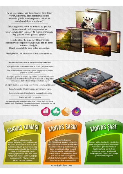 Gizemli Orman / Illüstrasyon Tablolar / Gizemli Tablolar fiyatları