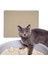 Büyük Kedi Çöp Mat Kitty Çöp Bindirme Mat Çift Katmanlı Kedi Çöp Pad Bej 55X75 cm (Yurt Dışından) 5