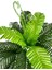 Yapay Çiçek Cycas Aşk Merdiveni Eğrelti Otu Sıkas Bitkisi 24 Yaprak 45X60 cm Yapay Bitki 2