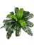 Yapay Çiçek Cycas Aşk Merdiveni Eğrelti Otu Sıkas Bitkisi 24 Yaprak 45X60 cm Yapay Bitki 3