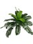 Yapay Çiçek Cycas Aşk Merdiveni Eğrelti Otu Sıkas Bitkisi 24 Yaprak 45X60 cm Yapay Bitki 5