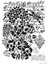 BN165 25X36 Bn Serisi Stencil 2