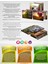 Dolunay ve Yaşlı Ağaç / Illustrasyon Tablolar 2