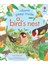 Peep Inside: a Bird's Nest 1