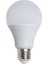 10 Adet Ct 4278 Cata 12W Dimmerli LED Ampul Beyaz Işık 6400K E27 1