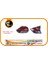 Stop X-Trail 14-15 Dış Rh 1