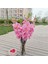 Canlı Gladiolus Çiçek Bitki Süs 80 cm Dekor Pembe (Yurt Dışından) 3