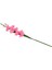 Canlı Gladiolus Çiçek Bitki Süs 80 cm Dekor Pembe (Yurt Dışından) 5