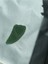 Gua Sha 1