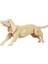 3D Ahşap Puzzle - Köpek 2